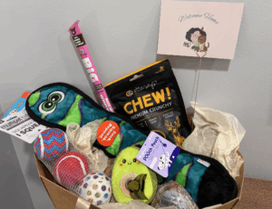 welcome home basket